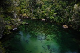 Abel Tasman national park © Pierre Roudier Tout droits réservés