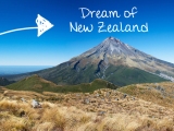 Travel Dream {New Zealand ♥}